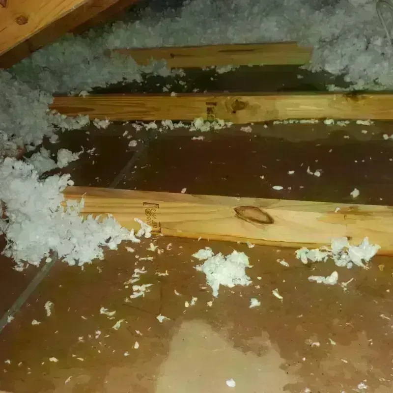 Attic Water Damage in Hart, TX