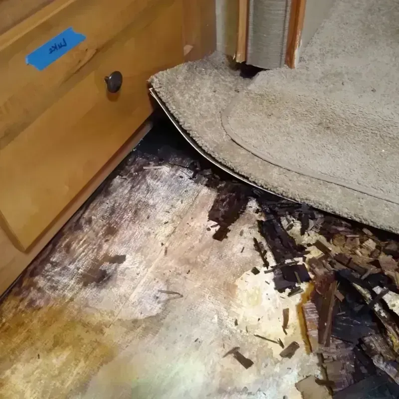 Wood Floor Water Damage in Hart, TX